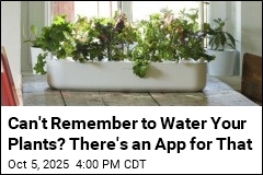 Can&#39;t Remember to Water Your Plants? There&#39;s an App for That