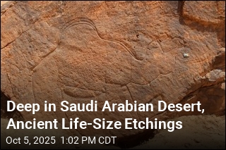 Deep in Saudi Arabian Desert, Ancient Life-Size Etchings