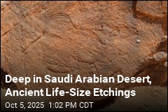 Deep in Saudi Arabian Desert, Ancient Life-Size Etchings