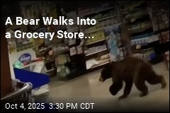 A Bear Walks Into a Grocery Store...