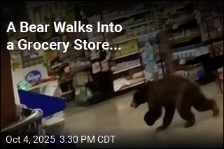 A Bear Walks Into a Grocery Store...