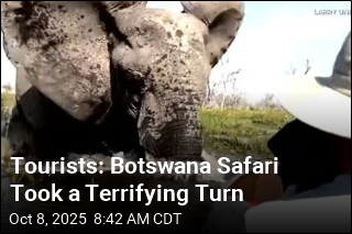 Tourists: Botswana Safari Took a Terrifying Turn