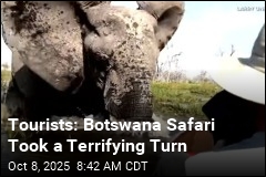 Tourists: Botswana Safari Took a Terrifying Turn
