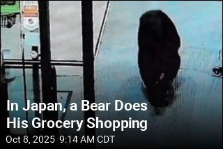In Japan, a Bear Does His Grocery Shopping