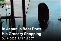 In Japan, a Bear Does His Grocery Shopping