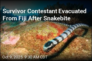 Snake Bite Forces Survivor Contestant Out of Game