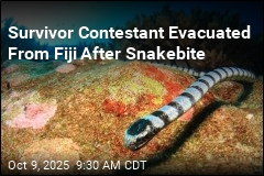 Snake Bite Forces Survivor Contestant Out of Game