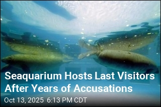 Seaquarium Hosts Last Visitors After Years of Accusations