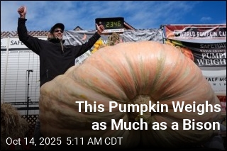 2,346-Pound Pumpkin Wins Annual Contest