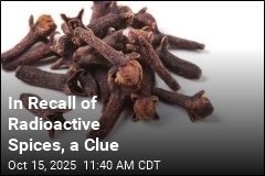 Indonesia Finds Clue to Recall of Radioactive Spices