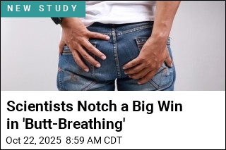 &#39;Butt-Breathing&#39; Technique Passes First Human Safety Test