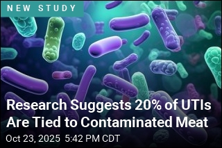 Research Suggests 20% of UTIs Are Tied to Contaminated Meat