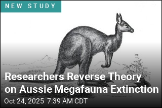 Early Australians May Have Been &#39;Paleontologists&#39;&#39;