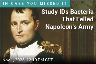 Study IDs Microbes That Felled Napoleon&#39;s Army