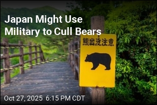 Japan Might Use Military to Cull Bears