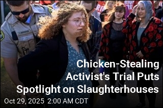 Chicken-Stealing Activist&#39;s Trial Puts Slaughterhouses in Spotlight