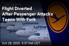 Flight Diverted After Passenger Attacks Teens With Fork