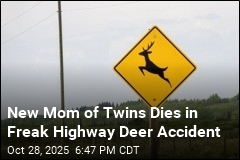New Mom of Twins Dies in Freak Highway Deer Accident