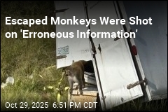 3 Monkeys Still Missing After Mississippi Crash