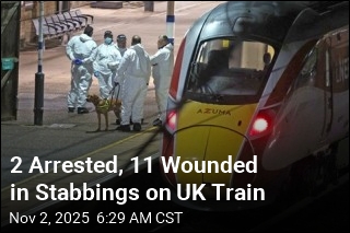 2 Arrested, 11 Wounded in Stabbings on UK Train