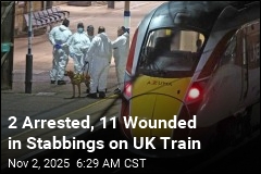 2 Arrested, 11 Wounded in Stabbings on UK Train