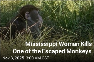 Mississippi Woman Kills One of the Escaped Monkeys