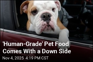 How to Reduce Your Pet&#39;s Carbon Pawprint