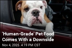 How to Reduce Your Pet&#39;s Carbon Pawprint