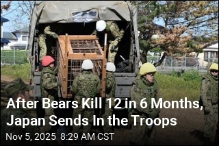 After Bears Kill 12 in 6 Months, Japan Sends In the Troops