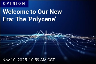 Thomas Friedman Christens Our New Era