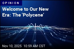 Thomas Friedman Christens Our New Era