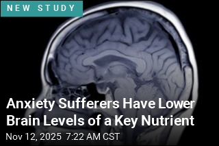 Anxiety Sufferers Have Lower Brain Levels of a Key Nutrient