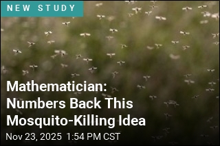 Mathematician: Fungus Could Decimate Malaria-Ridden Mosquitoes
