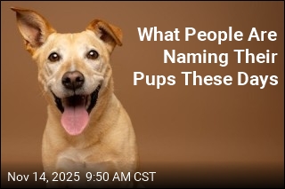 What People Are Naming Their Pups These Days