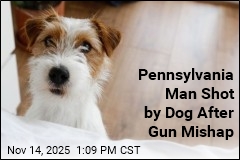 Pennsylvania Man Shot by Dog After Gun Mishap