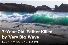 &#39;Very Big&#39; Wave Claims Lives of 7-Year-Old, Would-Be Hero Dad