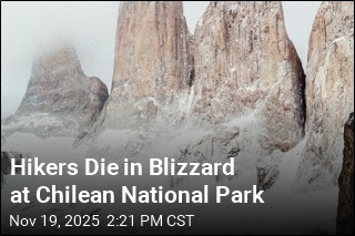 Tourists Die in Blizzard at Chilean National Park