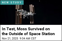 Moss Spores Tough It Out on Outside of the Space Station