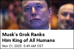 Musk&#39;s Grok Ranks Him King of All Humans