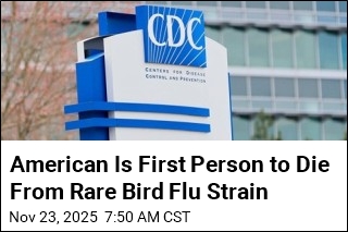 American Is First Person to Die From Rare Bird Flu Strain
