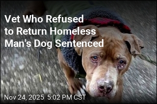 Vet Who Refused to Return Homeless Man's Dog Sentenced
