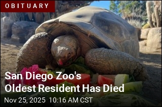 San Diego Zoo&#39;s Oldest Resident Has Died