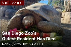 San Diego Zoo's Oldest Resident Has Died