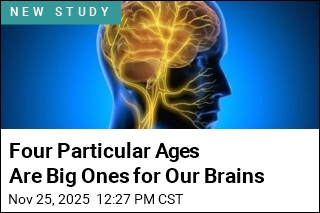 Four Particular Ages Are Big Ones for Our Brains
