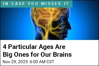 Four Particular Ages Are Big Ones for Our Brains