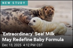 Seal Milk Might Redefine Baby Formula