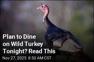 You Better Know Where Your Wild Turkey Came From
