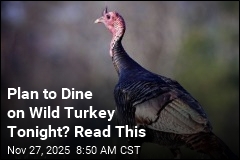 You Better Know Where Your Wild Turkey Came From