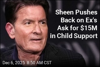 Charlie Sheen&#39;s Ex: He Owes Millions for His Kids