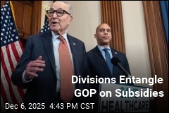 Divisions Entangle GOP on Subsidies